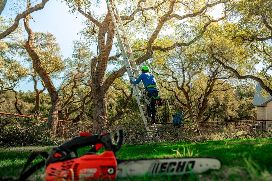 Climb High Tree Care job site photo 12