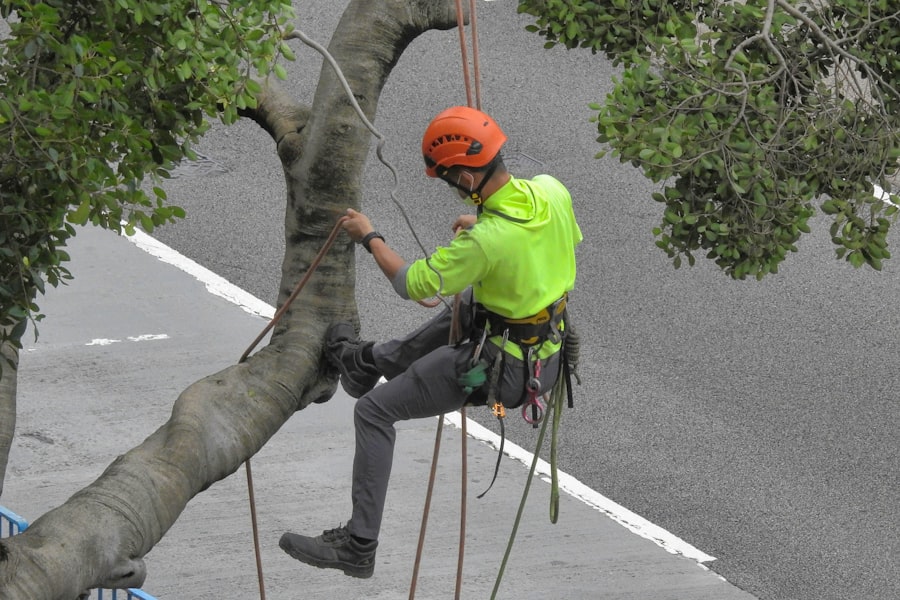 Climb High Tree Care job site photo 2