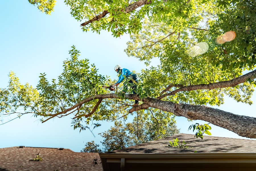 Climb High Tree Care job site photo 3