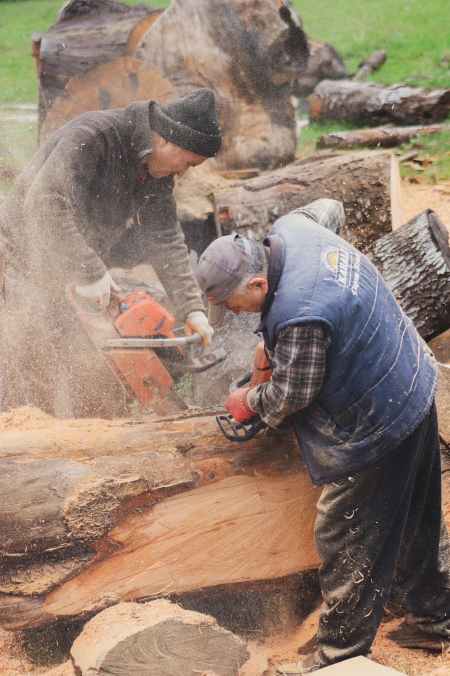 Climb High Tree Care job site photo 8