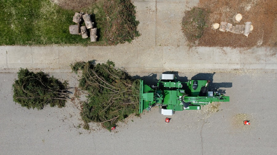 Climb High Tree Care job site photo 9