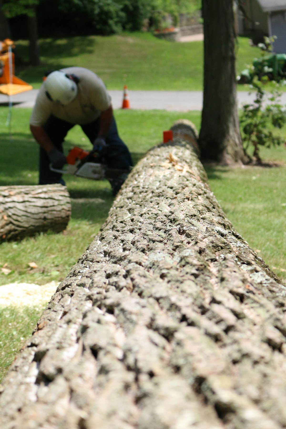 Emergency Storm Clean up service by Climb High Tree Care