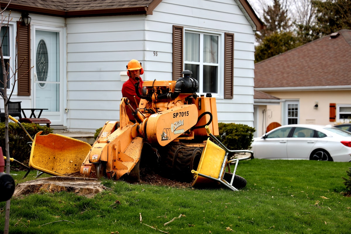 Stump Grinding service by Climb High Tree Care
